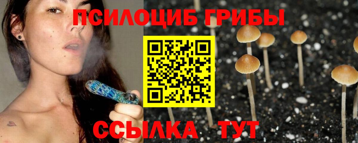 Галлюциногенные грибы мицелий  Вход с VPN  Псилоцибиновые грибы MAGIC MUSHROOMS  Приморско-Ахтарск 